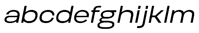 Biarty Oblique FONT