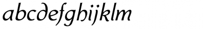 Biblia Medium Italic Font LOWERCASE