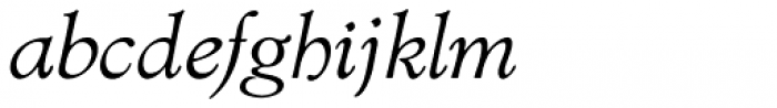 Biblia Serif Italic Font LOWERCASE