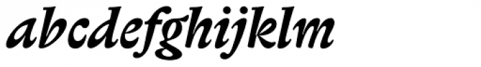 Biblon Std Bold Italic Font LOWERCASE