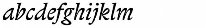 Biblon Std Italic Font LOWERCASE