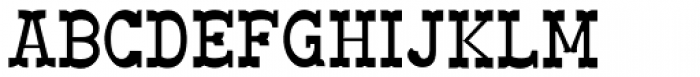 Big Yukon Serif light Font LOWERCASE