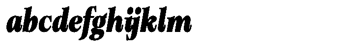 Bigdora Contrast Black Condensed Italic FONT