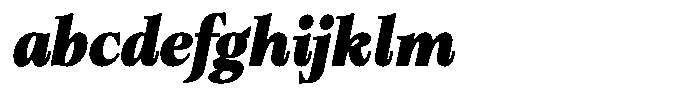 Bigdora Contrast Black Italic FONT