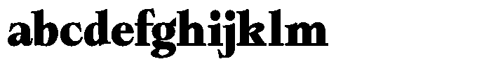 Bigdora Contrast Black FONT