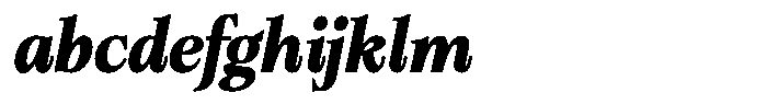 Bigdora Contrast Bold Italic FONT
