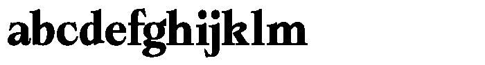 Bigdora Contrast Bold FONT