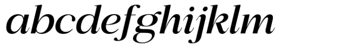 Bigsmile Serif Family Italic Medium FONT