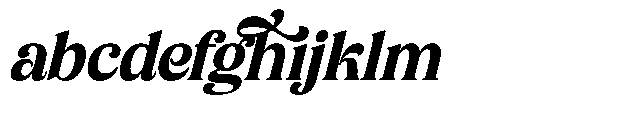Bikers Italic Italic FONT