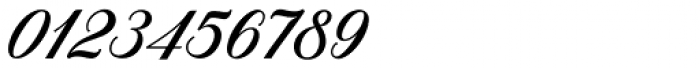 Bilgate Script Regular Font OTHER CHARS