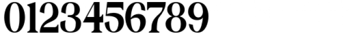 Bilgosia Serif Font OTHER CHARS