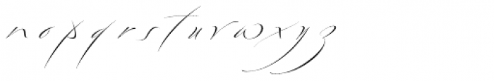 Bird Script Standard Font LOWERCASE