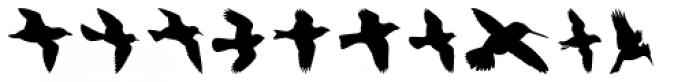 Birds Flying Font OTHER CHARS