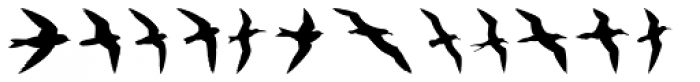 Birds Flying Font UPPERCASE