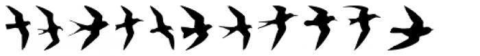 Birds Flying Font UPPERCASE