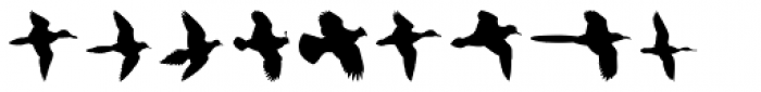 Birds Flying Font LOWERCASE