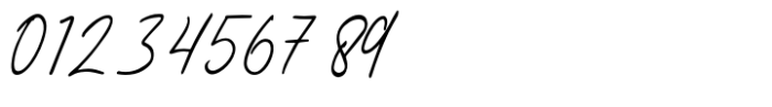 Birdspring Signature Font OTHER CHARS