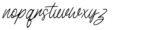 Birdspring Signature Font LOWERCASE