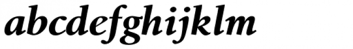 Birka Bold Italic Font LOWERCASE