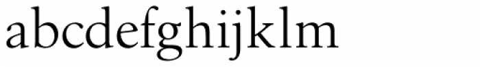 Birka Pro Roman Font LOWERCASE
