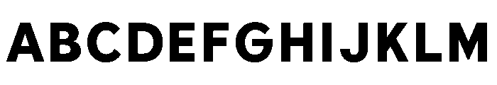 BiancoSans ExtraBold Font UPPERCASE