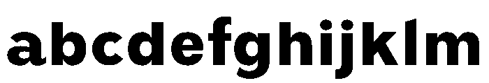 BiancoSans Heavy FONT