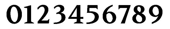 BiancoSerif Bold Font OTHER CHARS