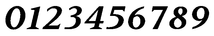 BiancoSerif BoldItalic Font OTHER CHARS
