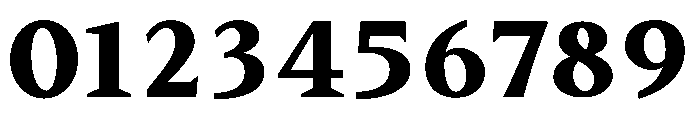 BiancoSerif Heavy Font OTHER CHARS