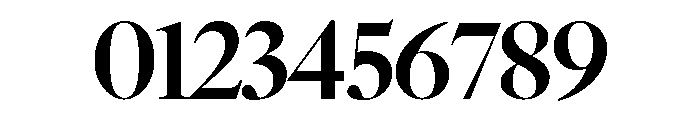 Big Caslon CC Black Font OTHER CHARS