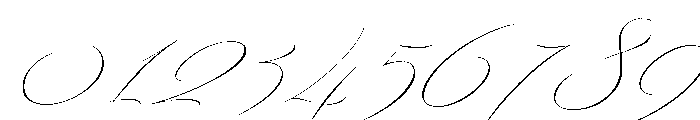 Bird Script Light Font OTHER CHARS