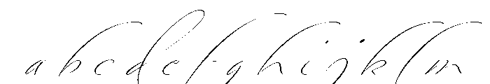 Bird Script Light FONT