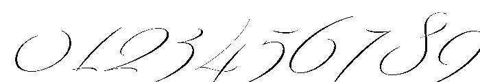Bird Script Regular Font OTHER CHARS