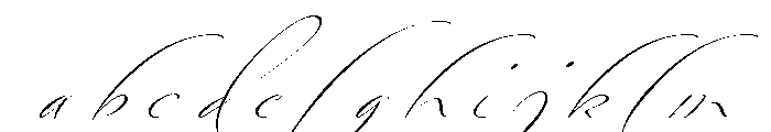 Bird Script Regular FONT