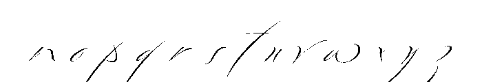 Bird Script Regular Font LOWERCASE