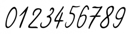 Bjarne Handwriting Regular Font OTHER CHARS