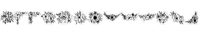 Bloom Bouquet FONT