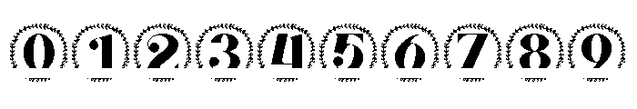 Bloomcrest Split Monogram Font OTHER CHARS