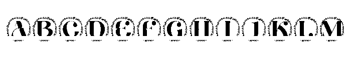 Bloomcrest Split Monogram FONT