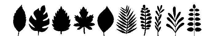 Blooming Leaves Font OTHER CHARS