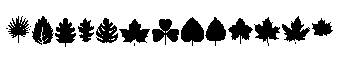 Blooming Leaves Font UPPERCASE