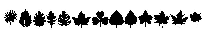 Blooming Leaves FONT