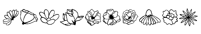 Blossom Floral Set Font OTHER CHARS