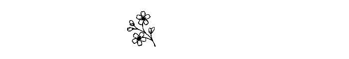BlossomFloralMonogramSuse-Reg Font OTHER CHARS