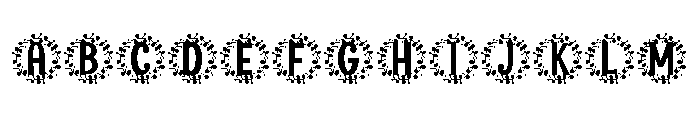 Blynford Monogram Font UPPERCASE