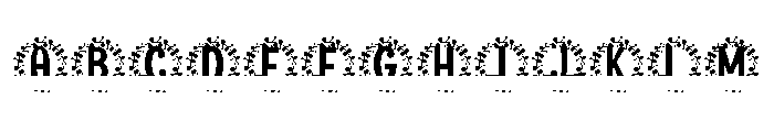 Blynford Split Monogram FONT
