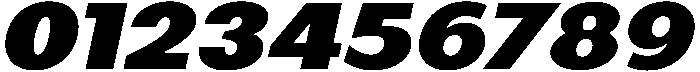 Black Italic otf (900) Font OTHER CHARS