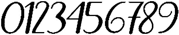 Black Salmon Bold Slant Regular otf (700) Font OTHER CHARS