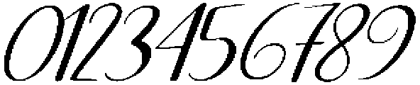 Black Salmon Condensed Slant 20 Regular otf (900) Font OTHER CHARS