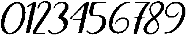 Black Salmon Sambo Bold Slant Regular otf (700) Font OTHER CHARS